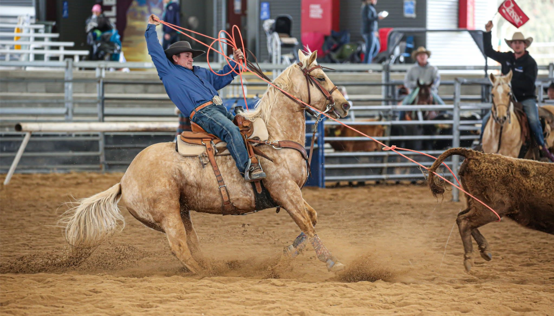 Wade heeling - Image by A McIlrick Images